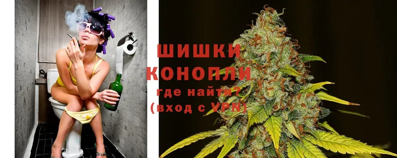 купить   Покровск  Бошки марихуана White Widow 